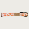 Load image into Gallery viewer, 1" width dog collar with simple white flowers on a pale two-toned orange checkered background. 
