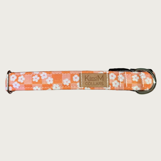 1" width dog collar with simple white flowers on a pale two-toned orange checkered background. 