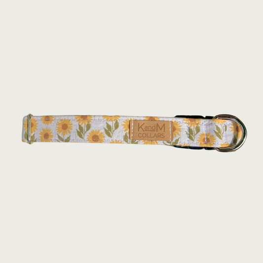 1" width dog collar featuring a sunflower print on a cream background.
