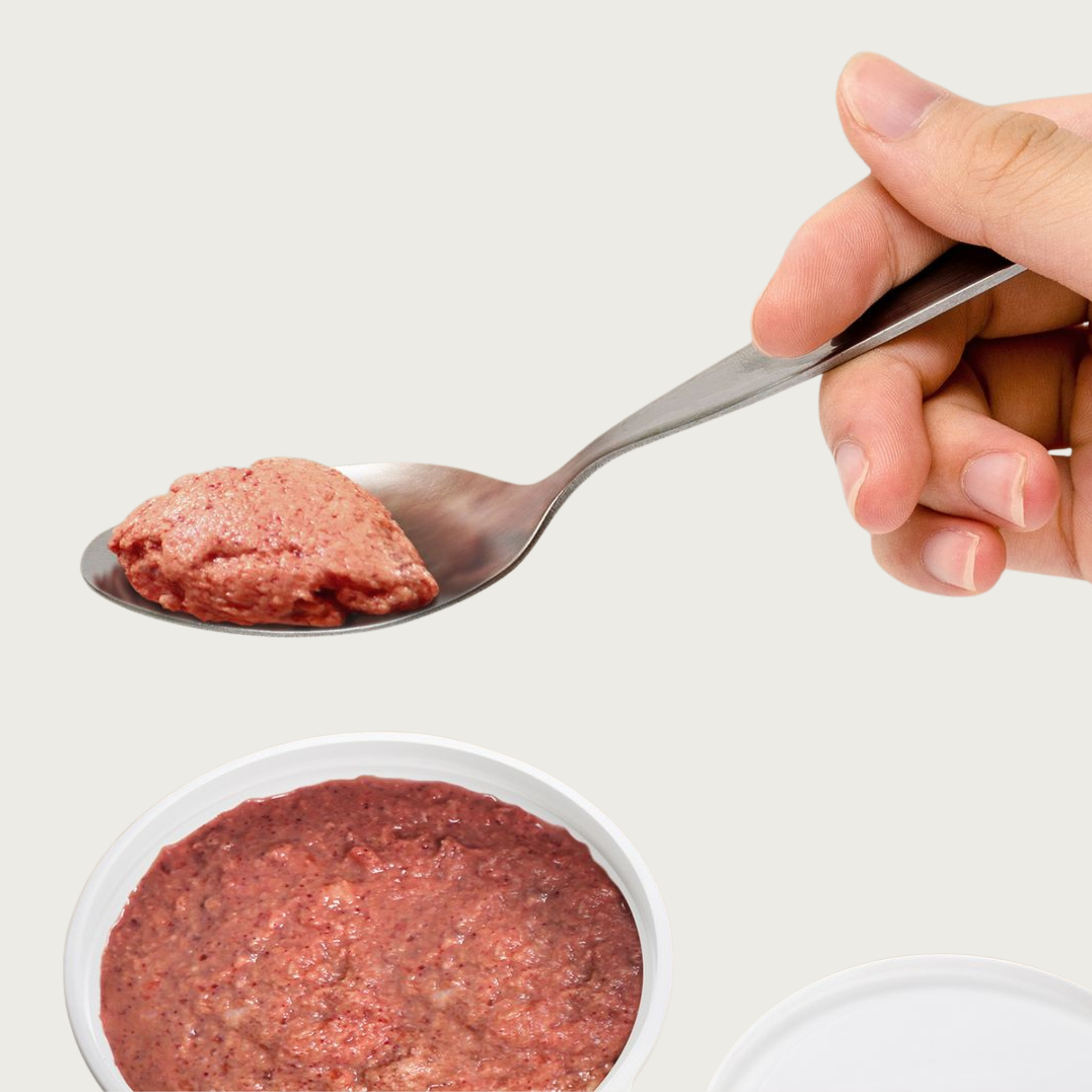 Hand holding a spoon with a scoop of finely ground Lotus raw cat food above a container of the same food.