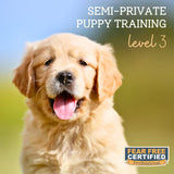 Semi-Private Puppy Training - Level 3