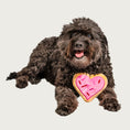 Load image into Gallery viewer, Dark brown, curly coated dog looking straight ahead, holding the Pink Heart Sugar Cookie toy between its front paws.
