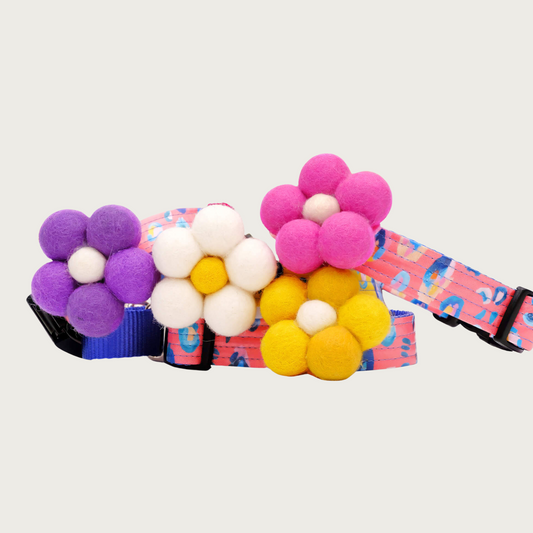 Examples of bubble collar flowers on collars. Four are shown: purple, cream, yellow and pink.