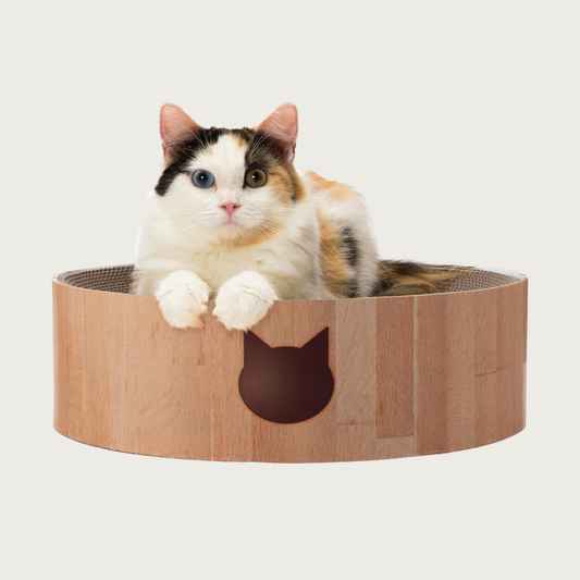 Calico cat sitting in the Cozy Cat Scratcher Bowl.