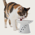 Load image into Gallery viewer, Calico cat drinking from the Extra Wide Raised Cat Food Bowl.

