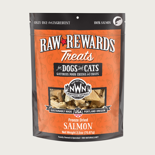 A 2.5 ounce orange bag of Northwest Naturals freeze-dried raw salmon treats for dogs and cats. Clear window on bag shows small rectangular shaped pieces.