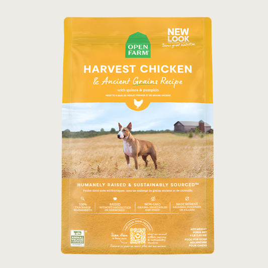 A bag of Open Farm Chicken & Ancient Grains Recipe dog food. Humanely raised and sustainably sourced. A photo of a Bull Terrier dog standing in a field on a farm is in the center 1/3 of the bag, with a yellow band on the top 1/3 and bottom 1/3 behind white text to highlight it.