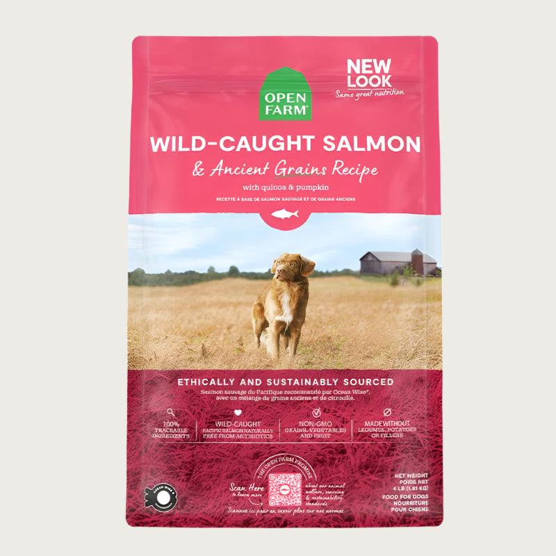 A bag of Open Farm Salmon & Ancient Grains Recipe dog food. Humanely raised and sustainably sourced. A photo of a Retriever dog standing in a field on a farm is in the center 1/3 of the bag, with a pink band on the top 1/3 and bottom 1/3 behind white text to highlight it.