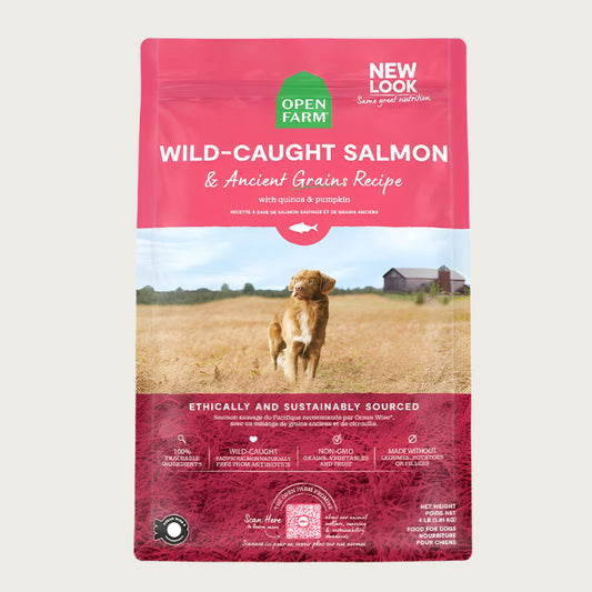A bag of Open Farm Salmon & Ancient Grains Recipe dog food. Humanely raised and sustainably sourced. A photo of a Retriever dog standing in a field on a farm is in the center 1/3 of the bag, with a pink band on the top 1/3 and bottom 1/3 behind white text to highlight it.