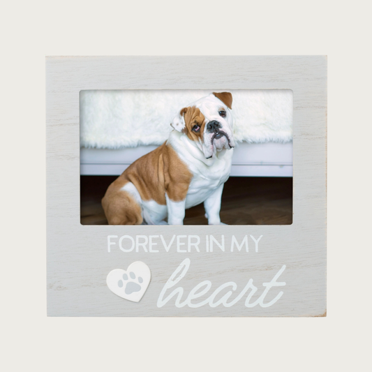 Pale gray, painted wooden photo frame with white text that reads 'Forever in my heart'. Under the word "forever" there is a 3D white heart with gray paw print inside.