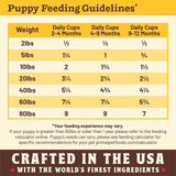 Puppy Feeding Guidelines grid chart broken down by weight and age. Lowest weight is 2 pounds, and daily cup recommendation is 1/2 cup for all 3 growth stages (2-4 months, 4-9 months, and 9-12 months). Highest weight is 80 pounds, with daily recommendation of 9 cups at 2-4 months, 9 cups at 4-9 months, and 7 cups at 9-12 months.