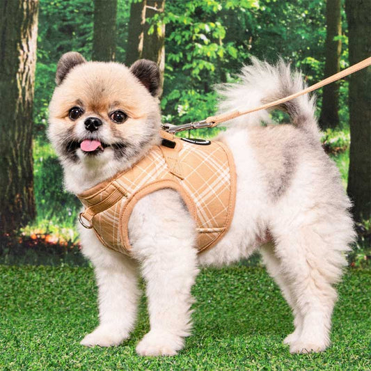 Puppia Corwin Step-In vest-style harness, beige checkered, on pomeranian dog. Chest D-ring is visible in this image.