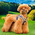 Load image into Gallery viewer, Puppia Corwin Step-In vest-style harness, navy checkered, on mini poodle dog. Chest D-ring is visible in this image.
