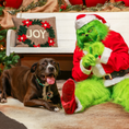Load image into Gallery viewer, Pictures With The Grinch
