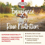 A beagle running with a stick in its mouth, with Primal logo and text overlay that says Experience the Transformative Benefits of Raw Nutrition. Superior digestibility, minimally processed to preserve more vital nutrients, healthy skin and coat, smaller and firmer stools, healthy energy and lasting vitality, mealtime excitement.