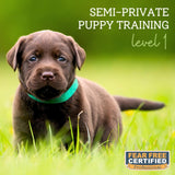 Semi-Private Puppy Training - Level 1
