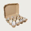 Load image into Gallery viewer, A small, square egg carton holding one dozen frozen raw quail eggs from Savage Cat. Two of these cartons are inside the box.
