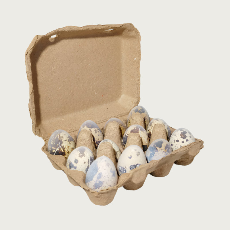 A small, square egg carton holding one dozen frozen raw quail eggs from Savage Cat. Two of these cartons are inside the box.