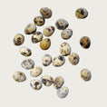 Load image into Gallery viewer, Photo of 20 or so quail eggs, spread around on a white background. They have a tan color with dark brown speckles and blotches.
