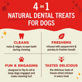 Load image into Gallery viewer, Text-only image, headline reads "4 in 1 Natural Dental Treats for Dogs". Text beneath reads: Cleans-nubs & ridges scrape teeth during chewing; Freshens-infused with peppermint & parsley to freshen breath; Fun & Engaging-designed to flip & roll to keep dogs engaged and make cleaning fun; Tastes Delicious-the delicious taste of freeze-dried chicken in every treat.
