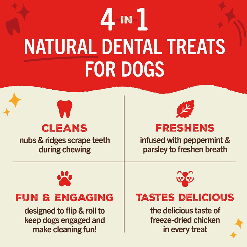 Text-only image, headline reads "4 in 1 Natural Dental Treats for Dogs". Text beneath reads: Cleans-nubs & ridges scrape teeth during chewing; Freshens-infused with peppermint & parsley to freshen breath; Fun & Engaging-designed to flip & roll to keep dogs engaged and make cleaning fun; Tastes Delicious-the delicious taste of freeze-dried chicken in every treat.