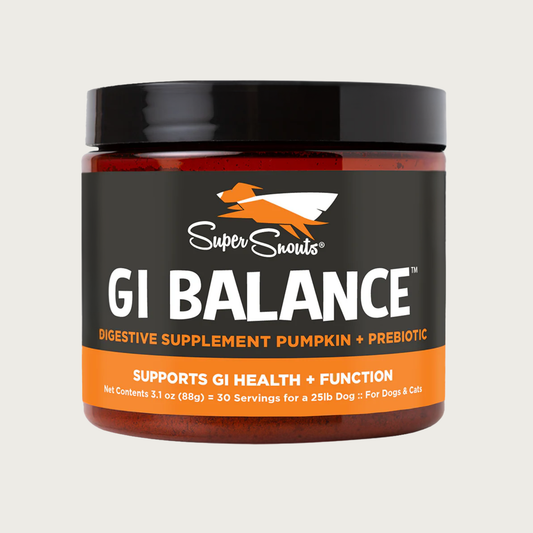 Dark plastic jar with black & orange label, of Super Snouts GI Balance digestive supplement with pumpkin & prebiotic. Supports GI Health + Function. Net Contents: 3.1 oz (88g)=up to 300 servings. For dogs & cats.