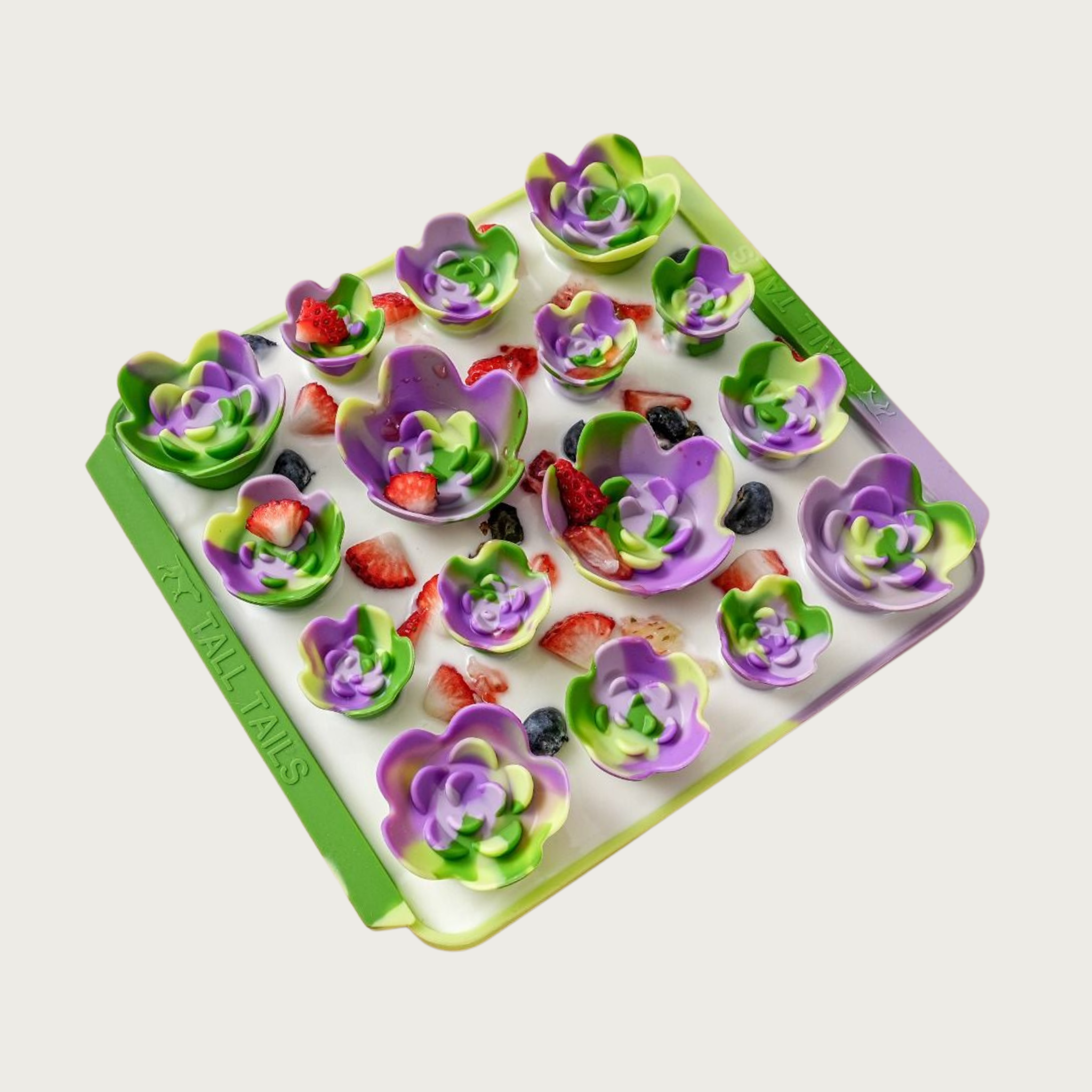 Image of the Succulent Garden style Foraging Mat with a mix of fruit and goat milk spread in it and on top of the succulents.