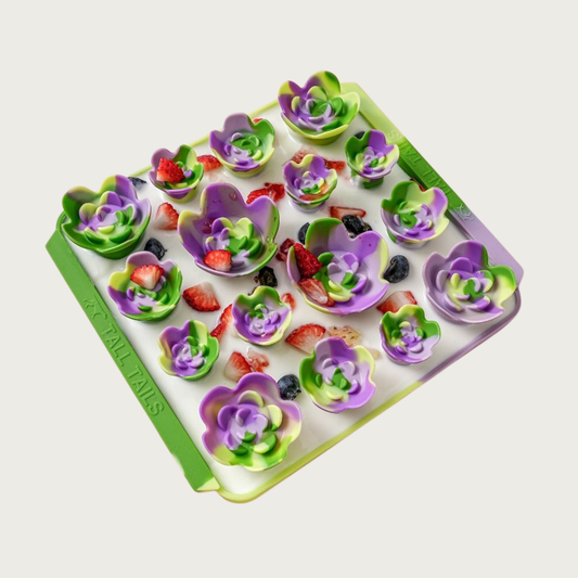 Image of the Succulent Garden style Foraging Mat with a mix of fruit and goat milk spread in it and on top of the succulents.