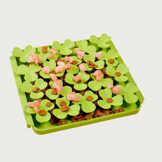 Image of the Clover style Foraging Mat with a mix of treats and kibbles spread in it and on top of the clovers.