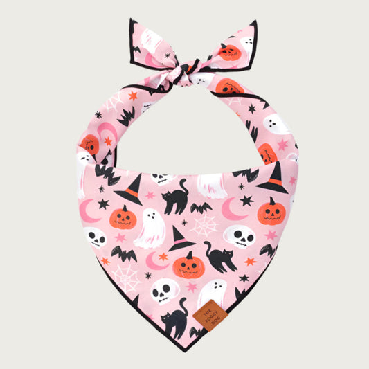 Halloween-themed dog bandana with pumpkins, ghosts, bats, spider webs, skulls, witch's hats, and black cats on a pastel pink background