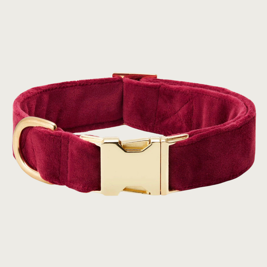 Burgundy velvet dog collar with a gold toned metal buckle & D-ring. 