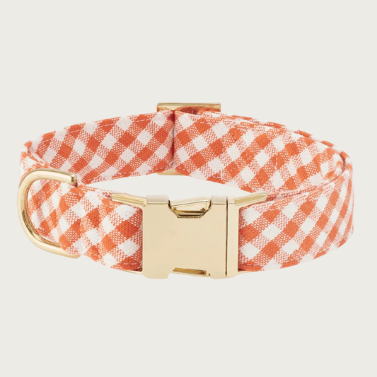 A dog collar with a white and orange gingham pattern and polished gold-tone buckle & hardware.