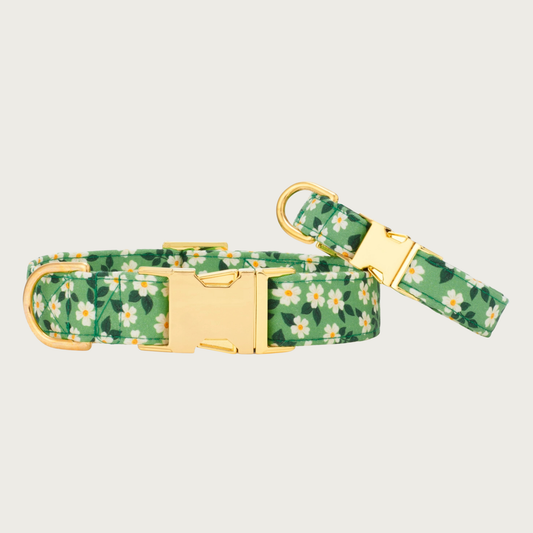 Two Dainty Daisies dog collars with different widths (5/8" and 1"), with the smaller & more narrow collar leaning on the larger one.