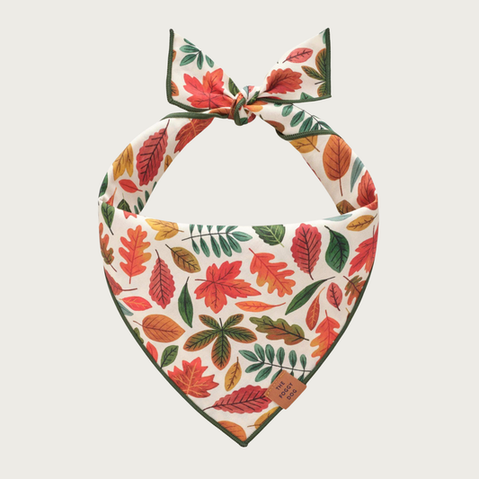 A dog bandana with an autumn leaf pattern, featuring a variety of red, orange, green, and yellow leaves on a cream background, tied at the top.