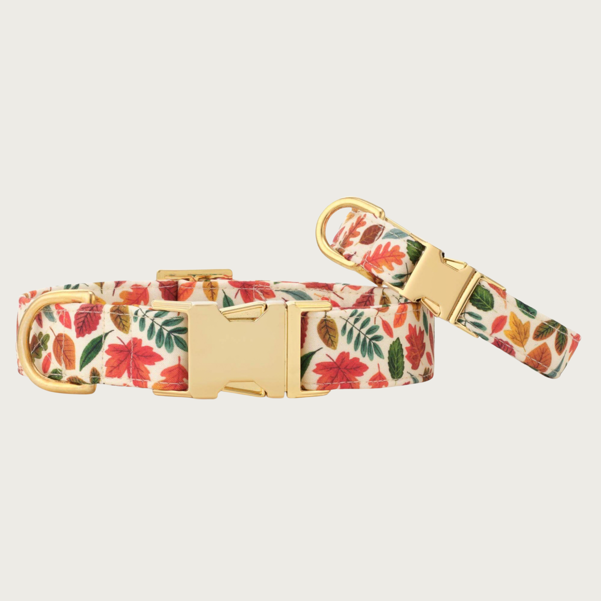 Two Falling Leaves dog collars with different widths (5/8" and 1"), with the smaller & more narrow collar leaning on the larger one.