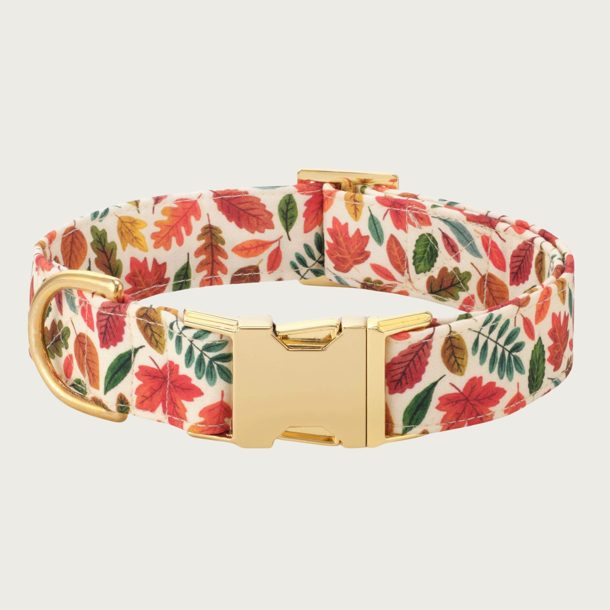 A dog collar featuring a colorful pattern of red, orange, green, and brown autumn leaves, on a cream-colored background. Features polished gold-tone metal buckle and hardware.