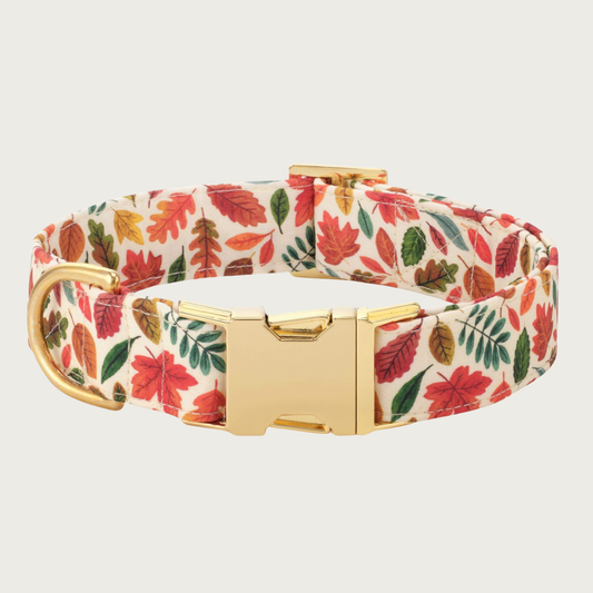 A dog collar featuring a colorful pattern of red, orange, green, and brown autumn leaves, on a cream-colored background. Features polished gold-tone metal buckle and hardware.