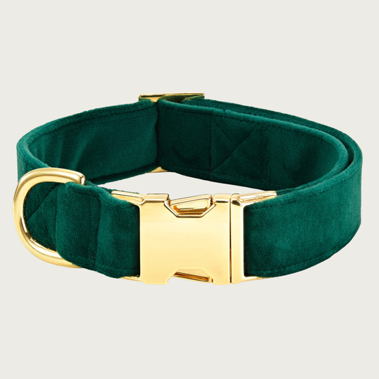 Forest Green velvet dog collar with a gold toned metal buckle & D-ring. 