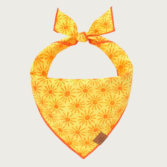 Bright yellow dog bandana with orange starburst pattern.