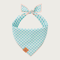 Load image into Gallery viewer, Reverse side of the Hoppy Easter dog bandana, featuring an aqua and white gingham check print.

