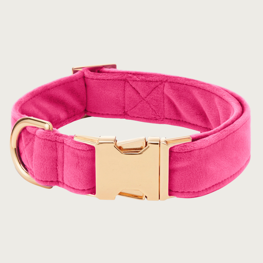 Hot pink velvet dog collar with a gold toned metal buckle & D-ring. 