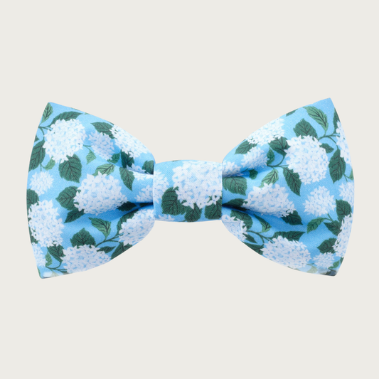Medium blue dog bow tie featuring hydrangea blooms in a lighter bluish-white shade with dark green foliage.
