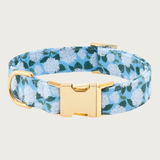 Medium blue colored dog collar with a light bluish-white hydrangea print accented with dark green leaves. Collar features gold-toned metal hardware.