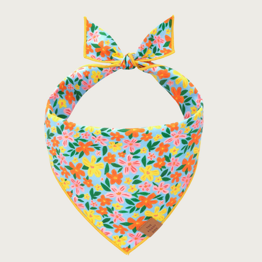 Tropical floral patterned dog bandana in shades of yellow, orange, and pink on a light blue background.