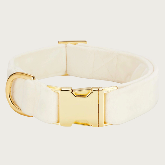 Ivory velvet dog collar with a gold toned metal buckle & D-ring. 