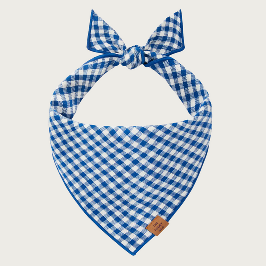 Blue and white checkered dog bandana.