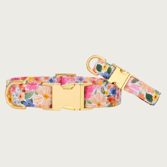 Two Margaux collars with different widths (5/8" and 1"), with the smaller & more narrow collar leaning on the larger one.