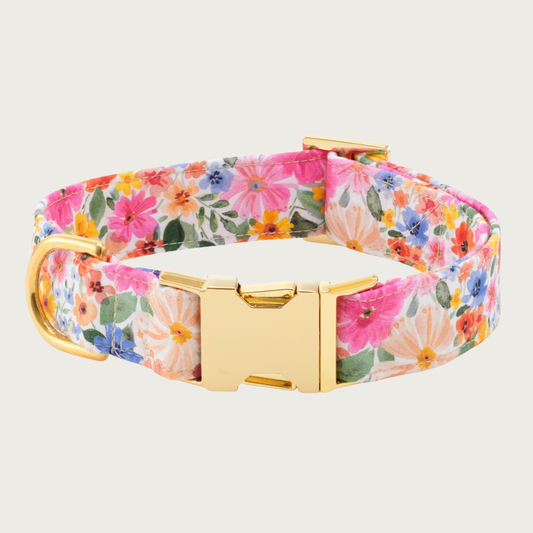 Dog collar with a colorful, watercolor-style wildflower print, with gold-toned metal hardware.