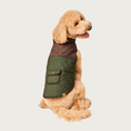 Load image into Gallery viewer, A seated goldendoodle dog with its back to the camera, its head is turned back to look at the camera. It is wearing a quilted dog jacket, with the top 1/3 in a dark brown faux suede, and the bottom 2/3 in dark olive green fabric. There is a small pocket with a snap closure centered in the olive green section. Both the jacket and the little pocket are trimmed in dark brown. 

