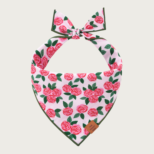Dog bandana with a blush pink background, featuring a pattern of groups of red & pink rosettes with green leaves, and dark green edging.